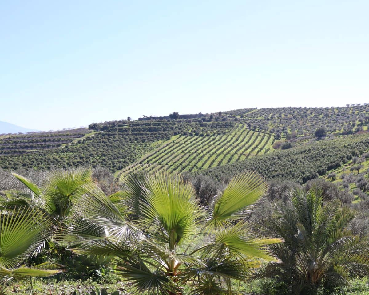 2 makuuhuone Maalaistalo myytävänä paikassa Alora - 255 000 € (Ref: 9761490)