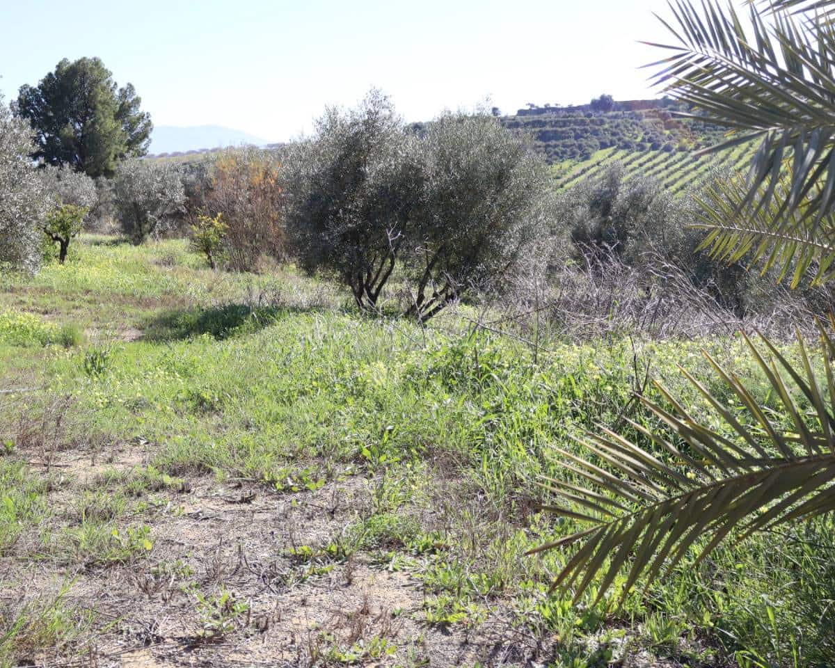 2 makuuhuone Maalaistalo myytävänä paikassa Alora - 255 000 € (Ref: 9761490)