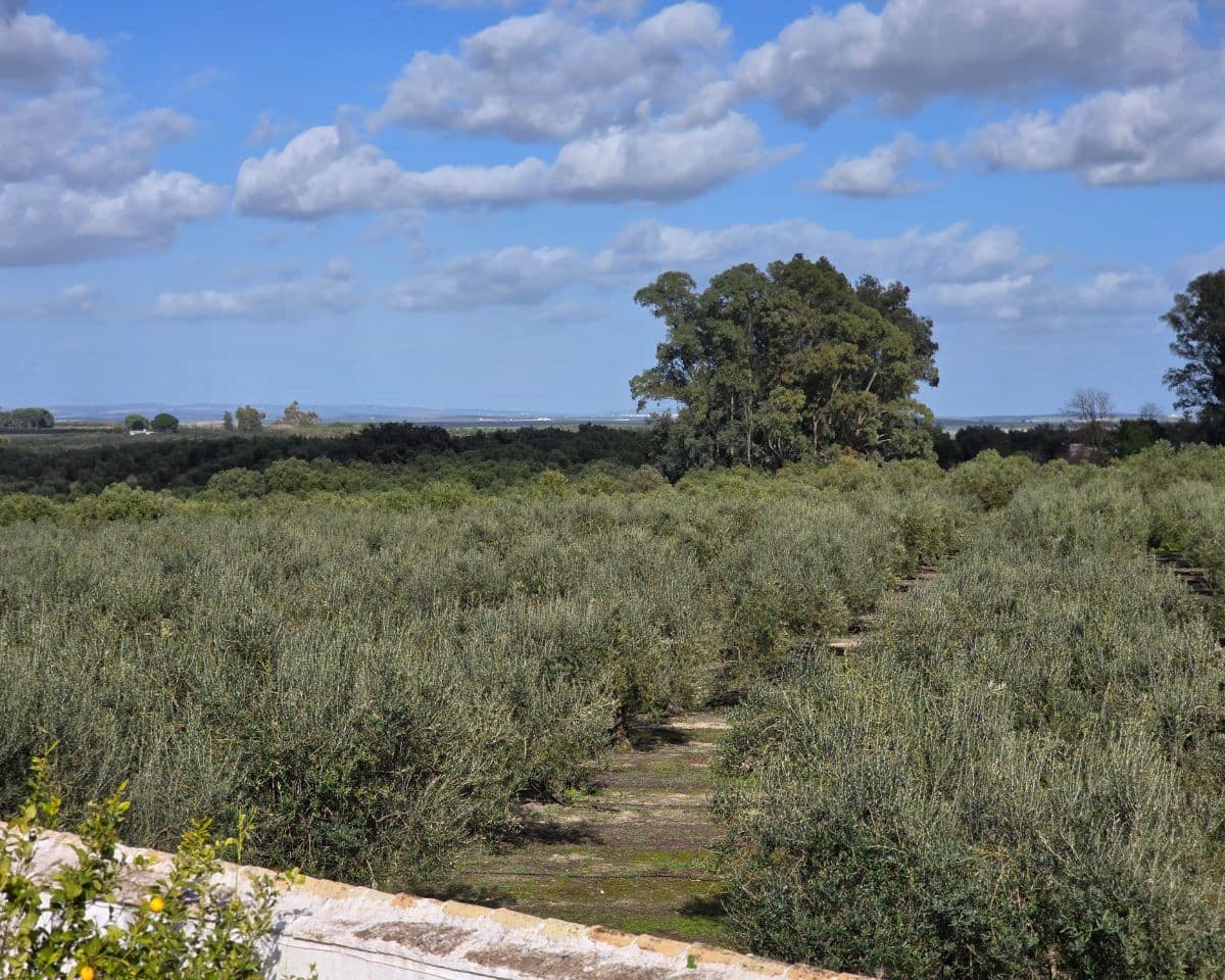 5 soverom Finca/Herregård til salgs i La Puebla de Cazalla med svømmebasseng - € 400 000 (Ref: 9769937)