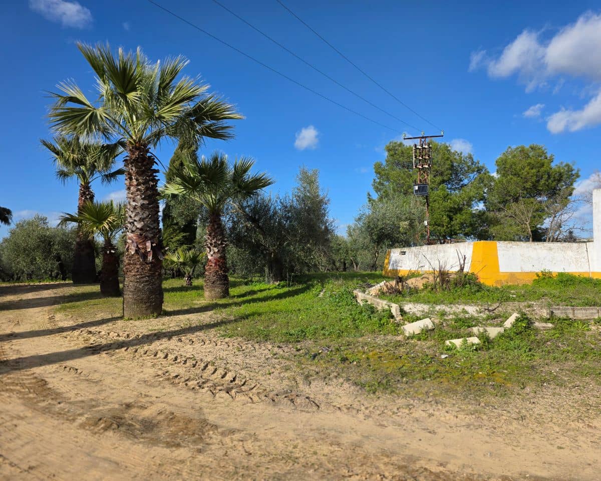 5 soverom Finca/Herregård til salgs i La Puebla de Cazalla med svømmebasseng - € 400 000 (Ref: 9769937)