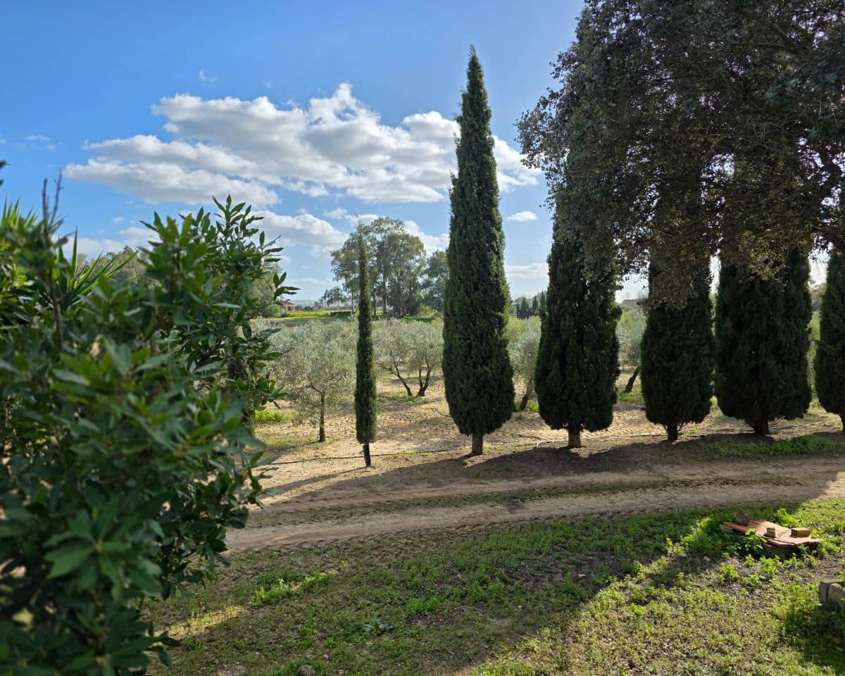 5 soverom Finca/Herregård til salgs i La Puebla de Cazalla med svømmebasseng - € 400 000 (Ref: 9769937)