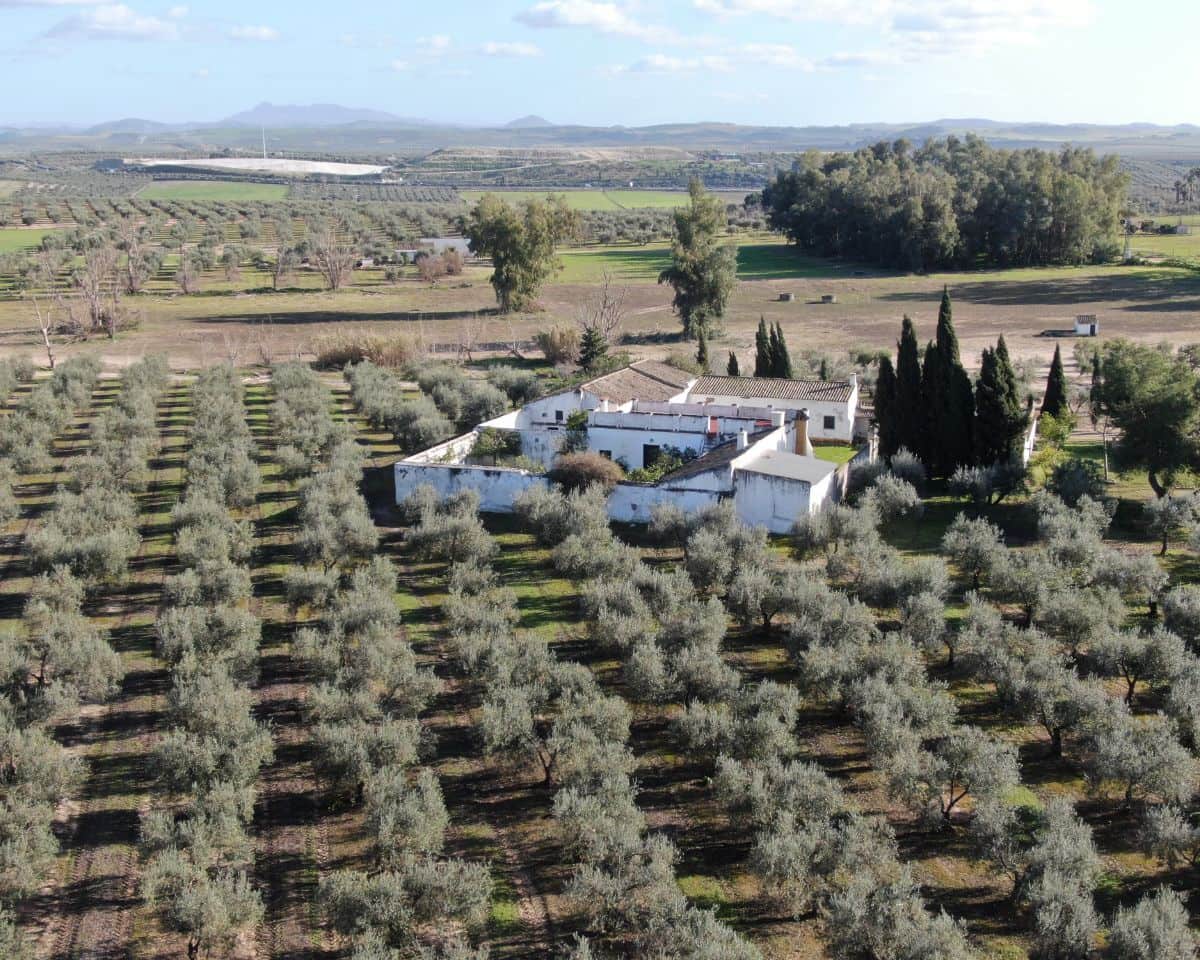 5 soverom Finca/Herregård til salgs i La Puebla de Cazalla med svømmebasseng - € 400 000 (Ref: 9769937)