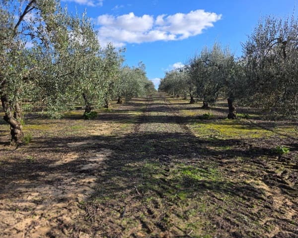 5 sypialnia Finka/Dom wiejski na sprzedaż w La Puebla de Cazalla z basenem - 400 000 € (Ref: 9769937)