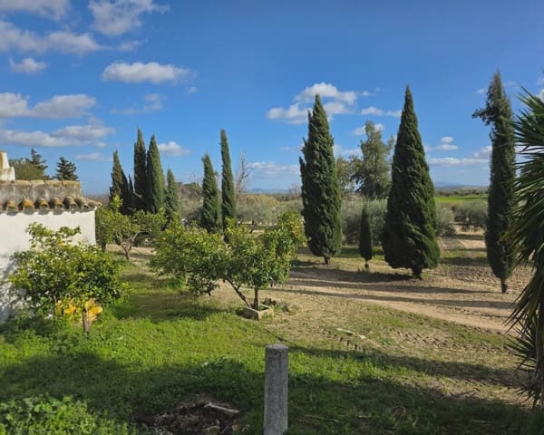 5 soverom Finca/Herregård til salgs i La Puebla de Cazalla med svømmebasseng - € 400 000 (Ref: 9769937)