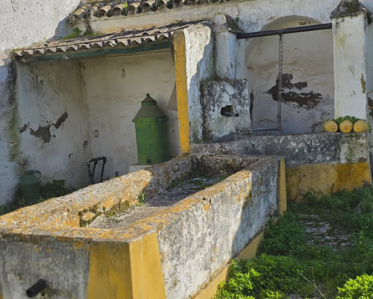 5 bedroom Finca/Country House for sale in La Puebla de Cazalla with pool - € 400,000 (Ref: 9769937)