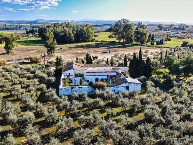 5 soverom Finca/Herregård til salgs i La Puebla de Cazalla med svømmebasseng - € 400 000 (Ref: 9769937)
