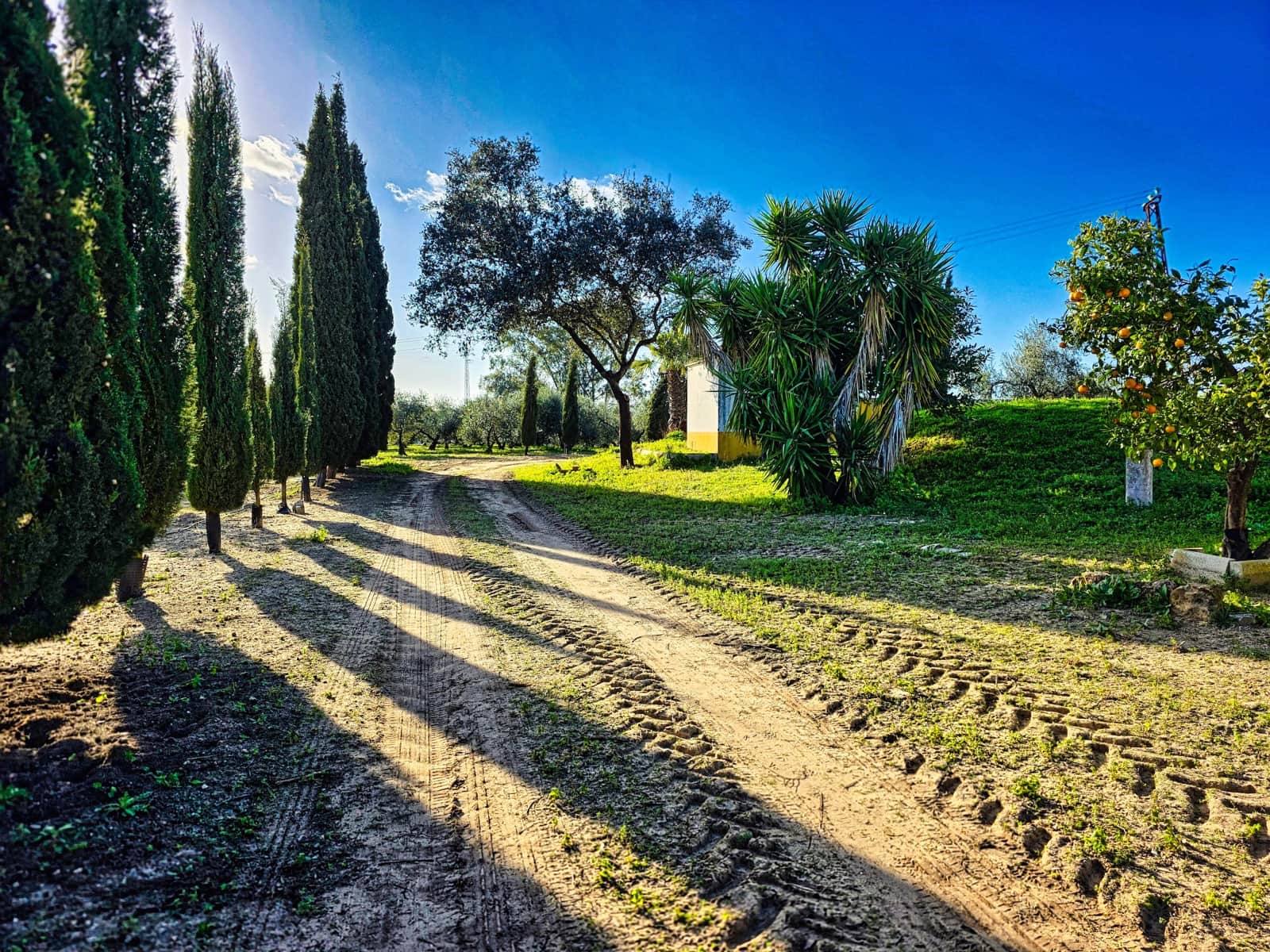 5 bedroom Finca/Country House for sale in La Puebla de Cazalla with pool - € 400,000 (Ref: 9769937)