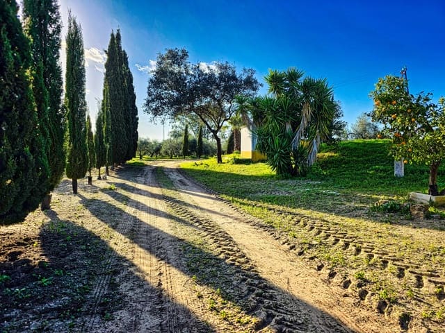 5 soverom Finca/Herregård til salgs i La Puebla de Cazalla med svømmebasseng - € 400 000 (Ref: 9769937)