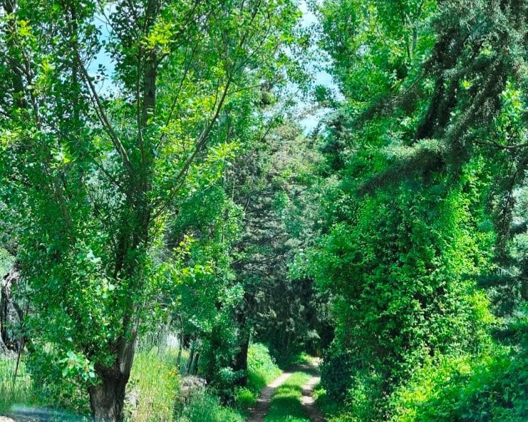 4 Zimmer Finca/Landgut zu verkaufen in Aracena - 825.000 € (Ref: 9793449)