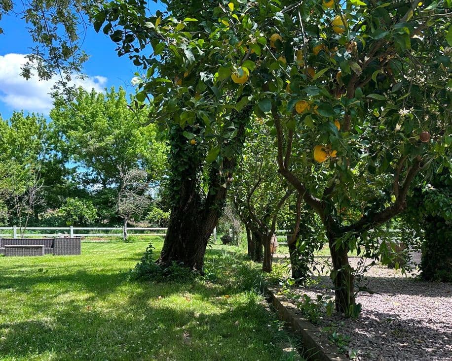 4 Zimmer Finca/Landgut zu verkaufen in Aracena - 825.000 € (Ref: 9793449)