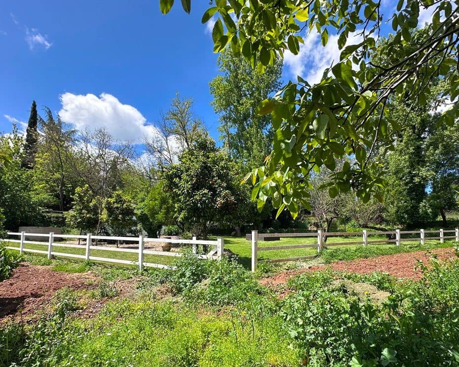 4 Zimmer Finca/Landgut zu verkaufen in Aracena - 825.000 € (Ref: 9793449)