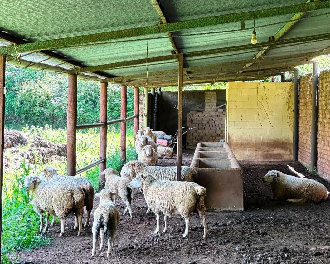 4 Zimmer Finca/Landgut zu verkaufen in Aracena - 825.000 € (Ref: 9793449)