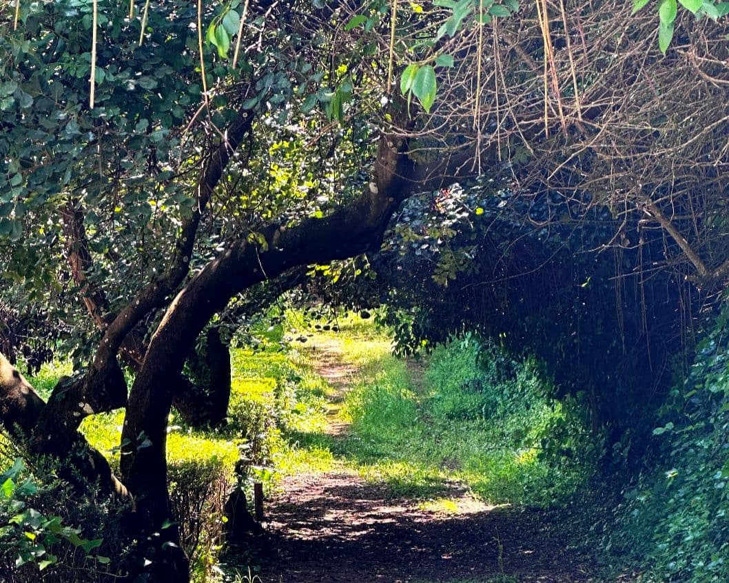 4 Zimmer Finca/Landgut zu verkaufen in Aracena - 825.000 € (Ref: 9793449)