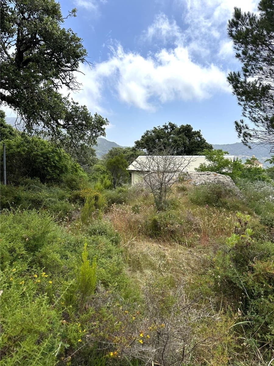 Byggegrund til salg i Tarifa - € 375.000 (Ref: 8396835)