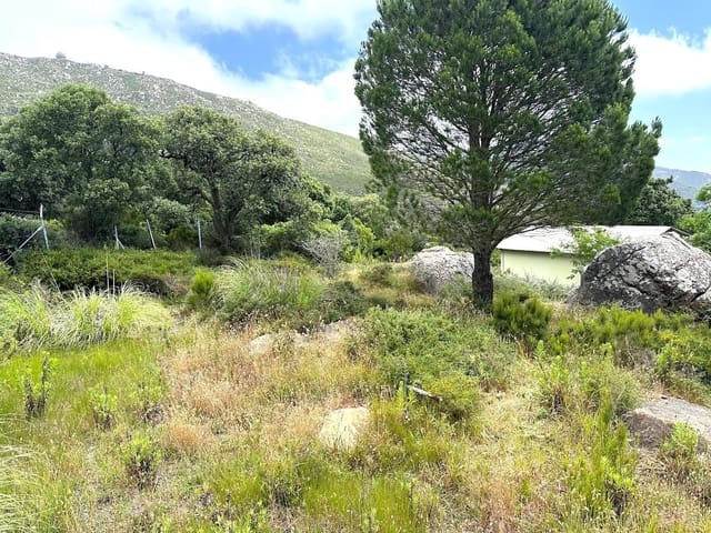 Building Plot for sale in Tarifa - € 375,000 (Ref: 8396835)