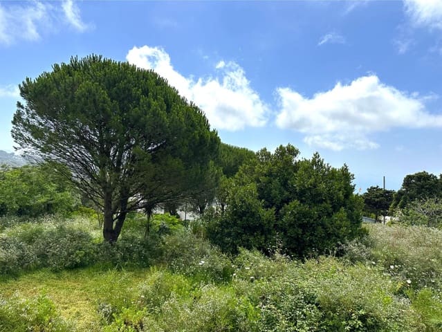 Building Plot for sale in Tarifa - € 375,000 (Ref: 8396835)