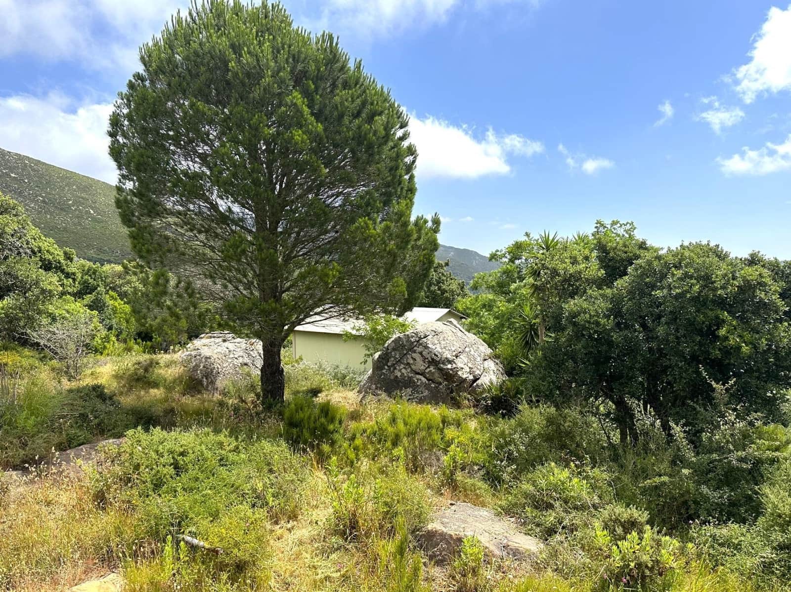 Byggegrund til salg i Tarifa - € 375.000 (Ref: 8396835)