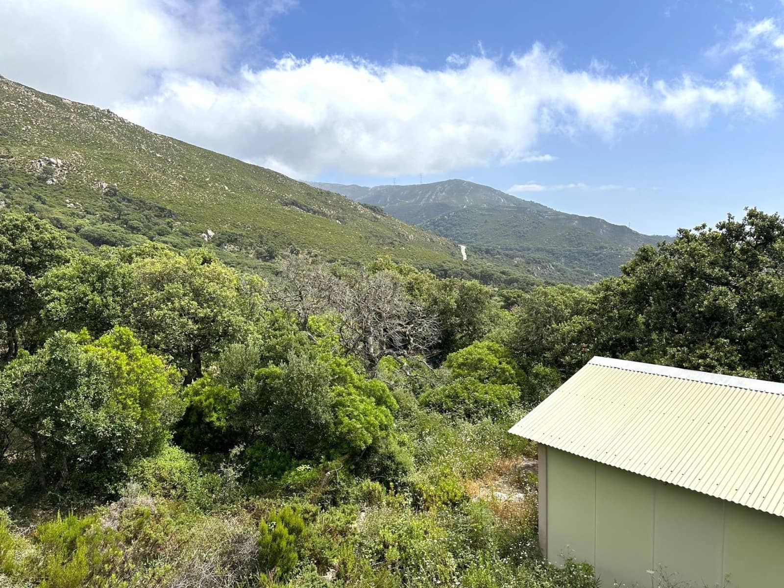 Byggegrund til salg i Tarifa - € 375.000 (Ref: 8396835)