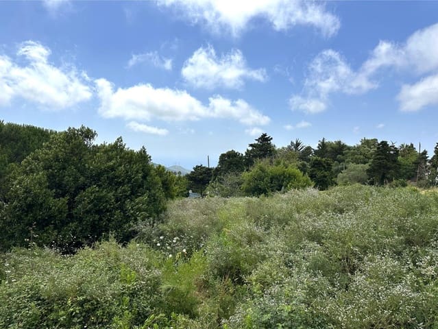 Building Plot for sale in Tarifa - € 375,000 (Ref: 8396835)