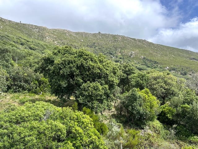 Building Plot for sale in Tarifa - € 375,000 (Ref: 8396835)