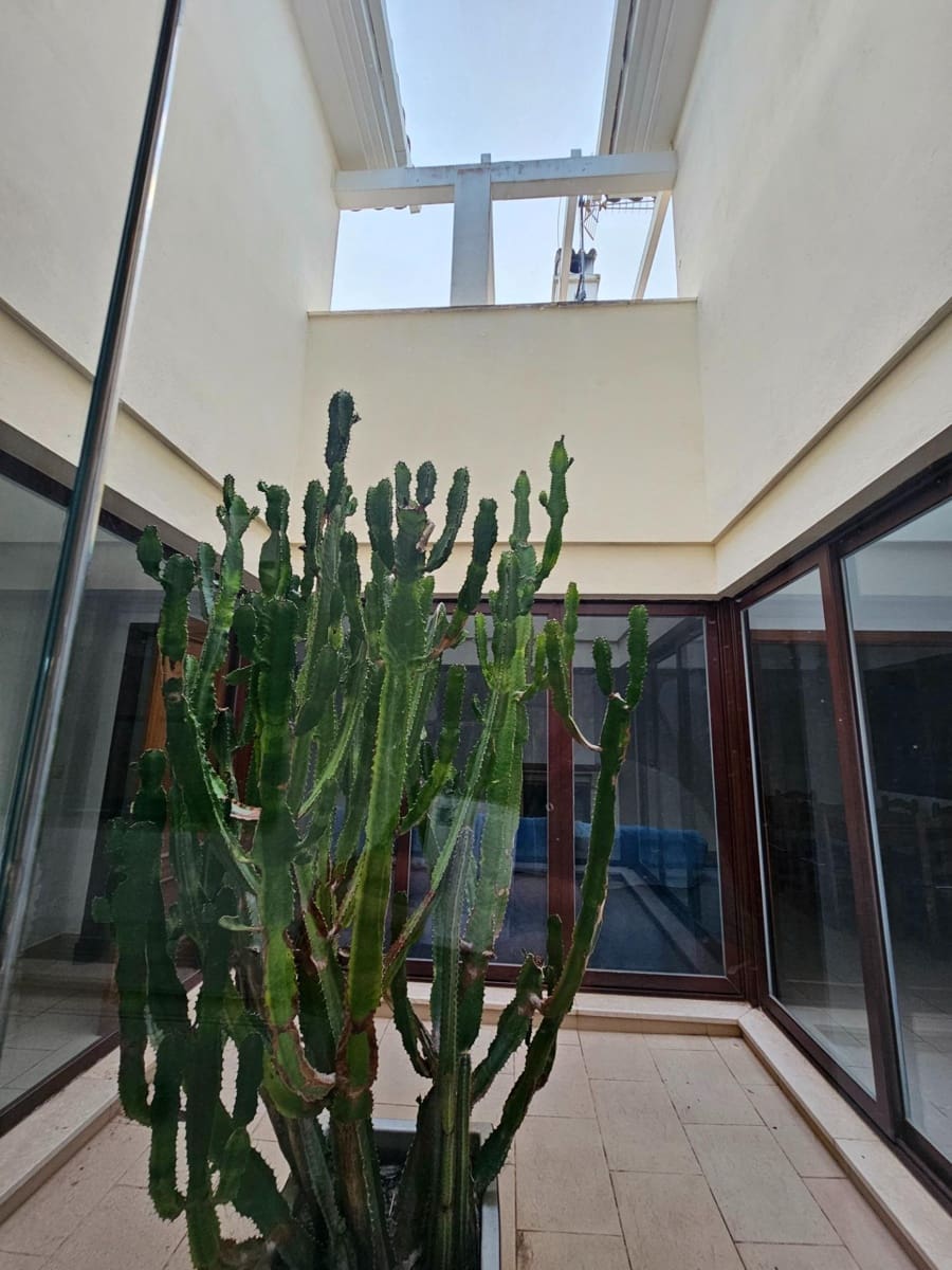 4 sypialnia Willa na sprzedaż w Novo Sancti Petri z basenem - 620 000 € (Ref: 9353560)