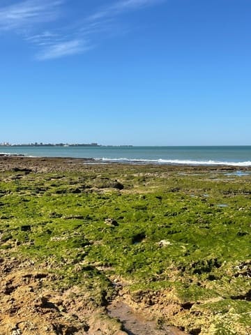 4 quarto Apartamento para venda em El Puerto de Santa María com piscina - 1 450 000 € (Ref: 9942463)