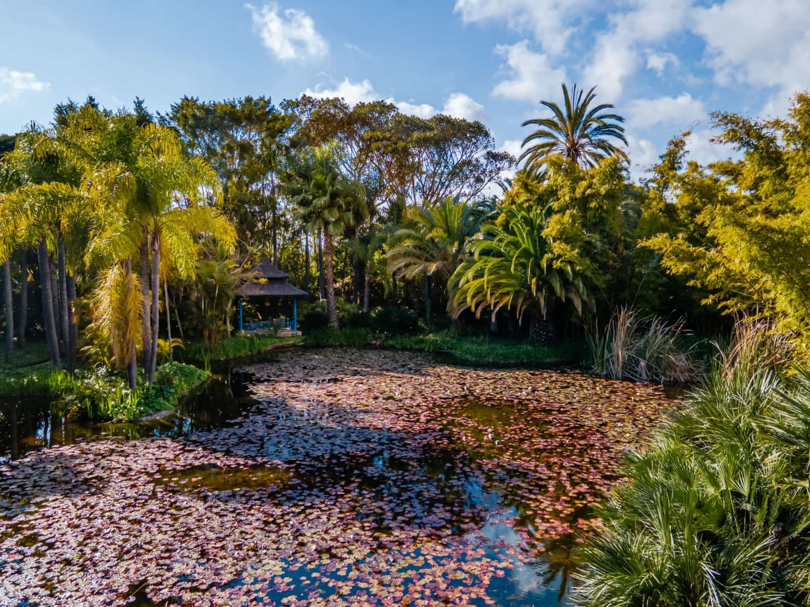 5 soverom Villa til salgs i Marbella med svømmebasseng garasje - € 38 500 (Ref: 8741131)