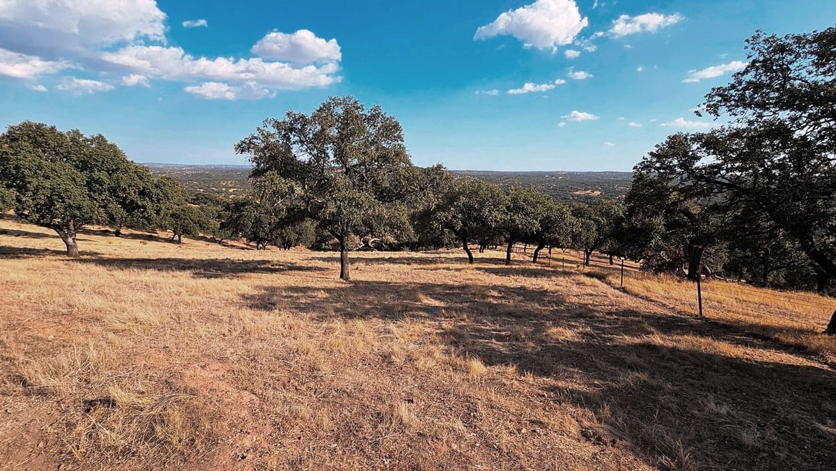Undeveloped Land for sale in Santa Olalla del Cala - € 15,000,000 (Ref: 10100830)