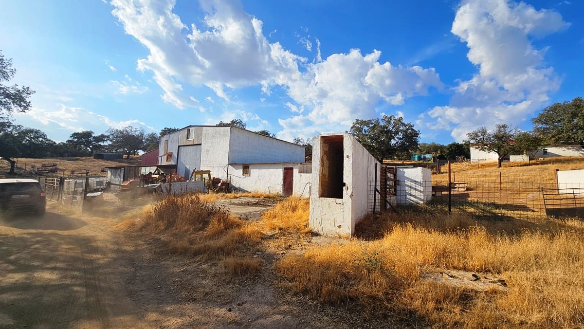 Undeveloped Land for sale in Santa Olalla del Cala - € 15,000,000 (Ref: 10100830)