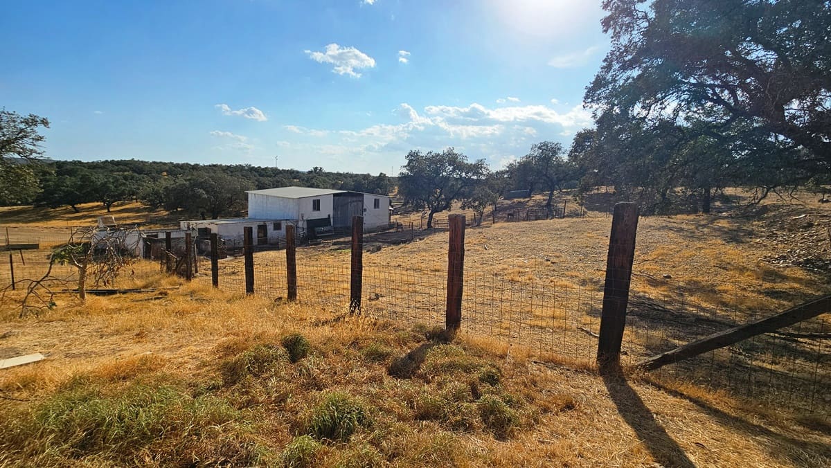 Undeveloped Land for sale in Santa Olalla del Cala - € 15,000,000 (Ref: 10100830)