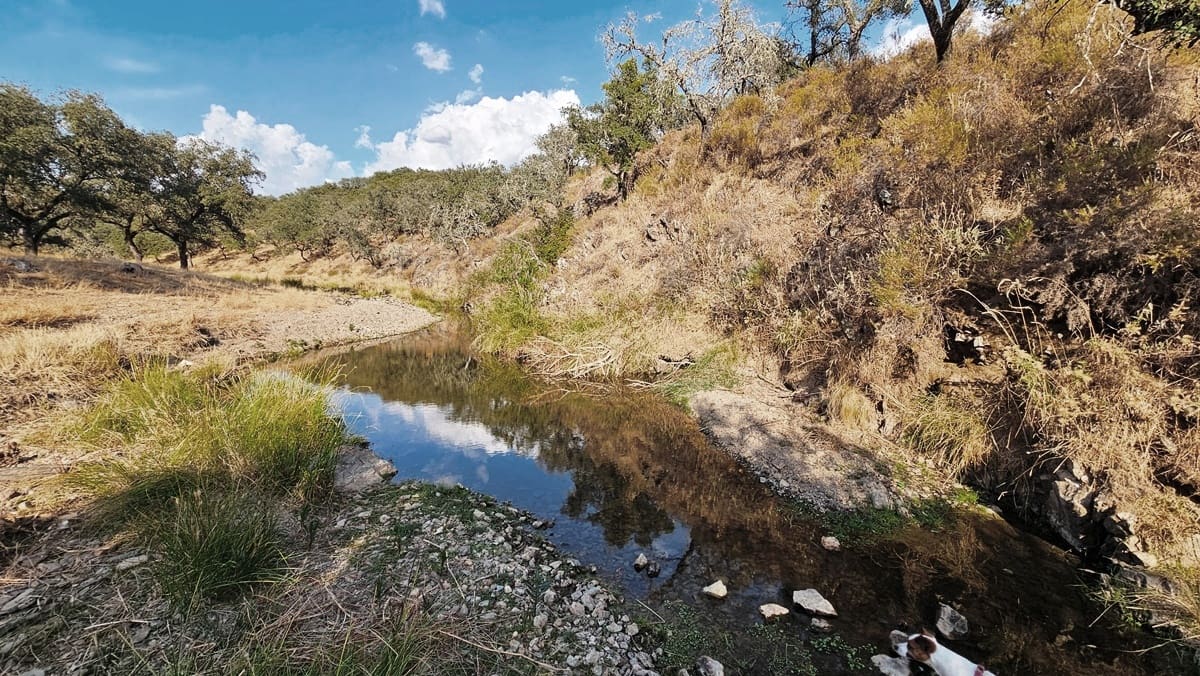 Undeveloped Land for sale in Santa Olalla del Cala - € 15,000,000 (Ref: 10100830)