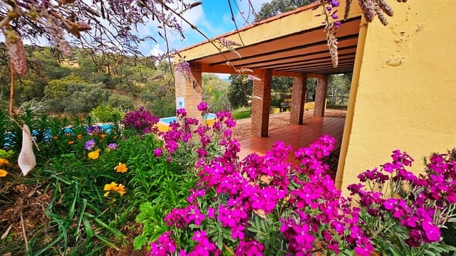 6 soveværelse Finca/Landehus til salg i Cortegana med swimmingpool - € 320.000 (Ref: 8191467)