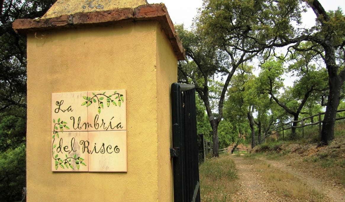 6 sypialnia Finka/Dom wiejski na sprzedaż w Cortegana z basenem - 320 000 € (Ref: 8191467)