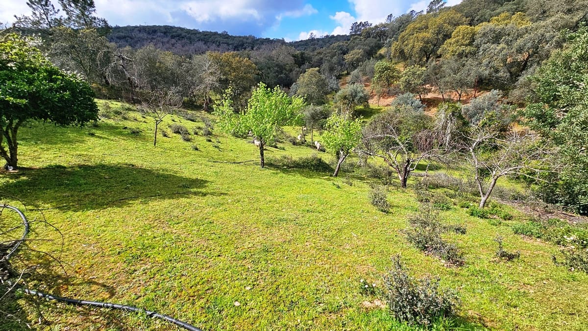 6 sypialnia Finka/Dom wiejski na sprzedaż w Cortegana z basenem - 320 000 € (Ref: 8191467)