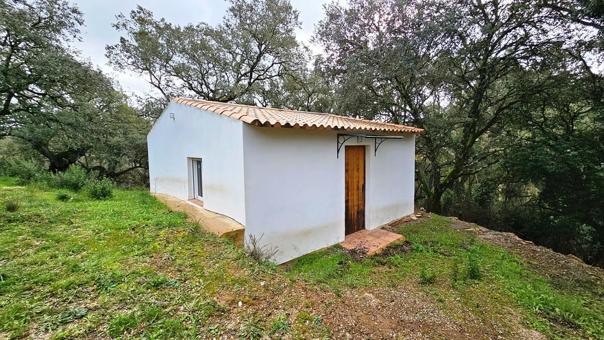 4 soveværelse Finca/Landehus til salg i Santa Ana la Real med swimmingpool - € 675.000 (Ref: 8191468)