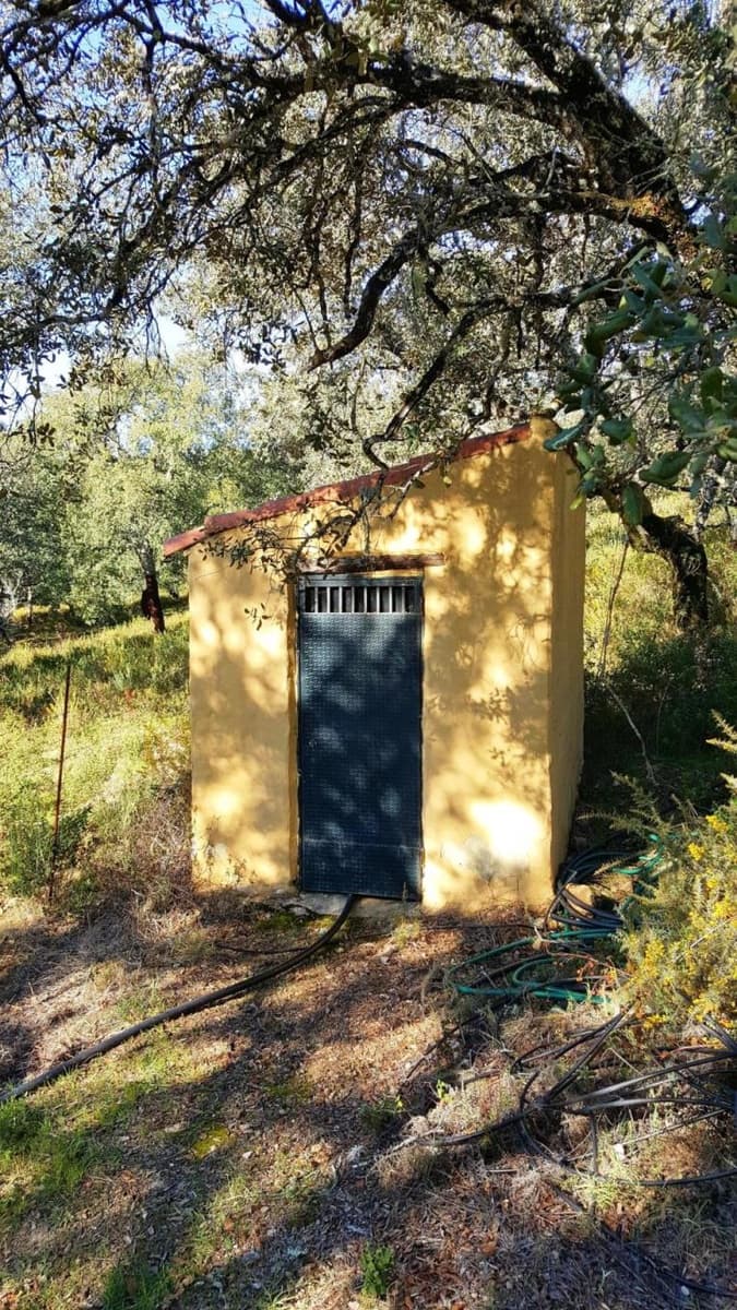 4 soveværelse Finca/Landehus til salg i Santa Ana la Real med swimmingpool - € 675.000 (Ref: 8191468)