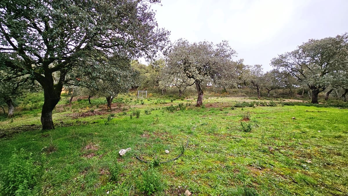 4 soveværelse Finca/Landehus til salg i Santa Ana la Real med swimmingpool - € 675.000 (Ref: 8191468)