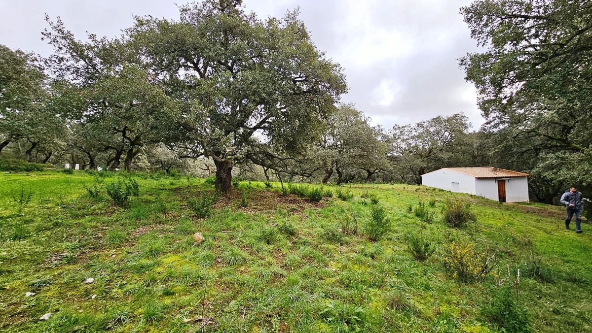 4 soveværelse Finca/Landehus til salg i Santa Ana la Real med swimmingpool - € 675.000 (Ref: 8191468)