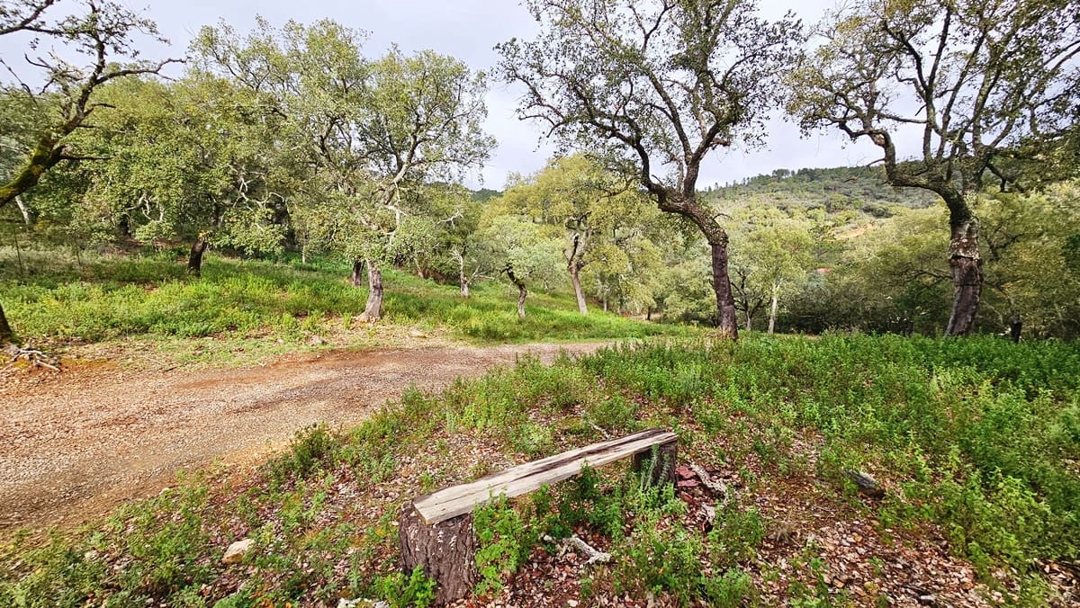 4 soveværelse Finca/Landehus til salg i Santa Ana la Real med swimmingpool - € 675.000 (Ref: 8191468)