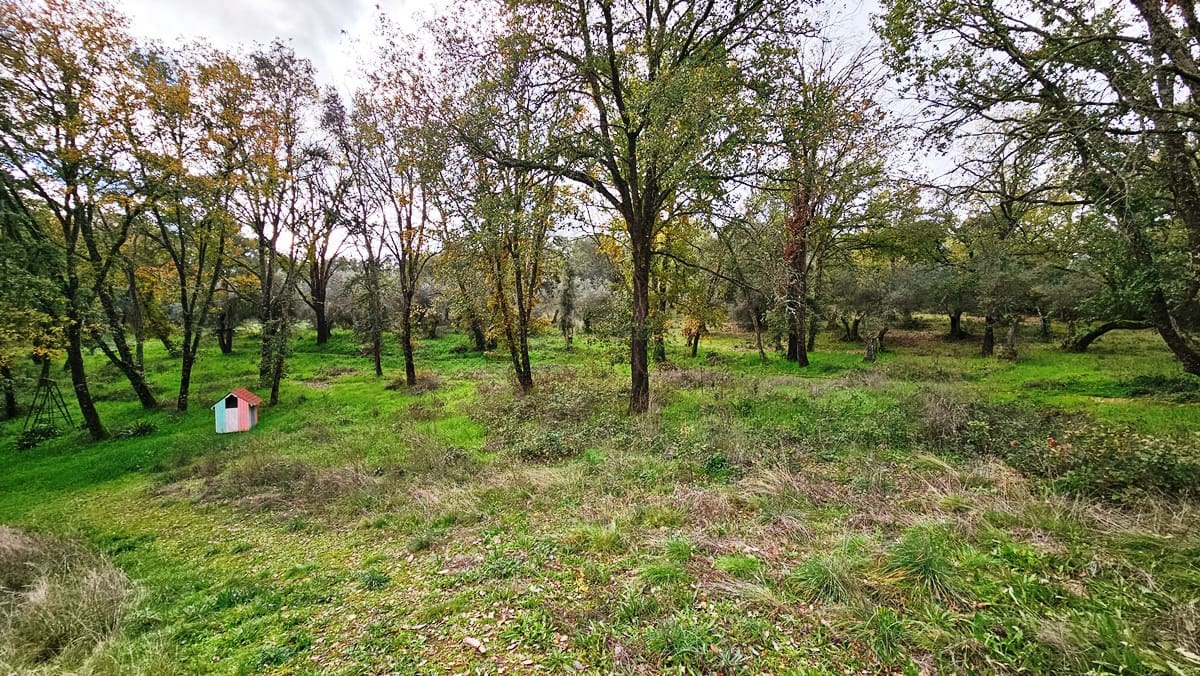 4 soveværelse Finca/Landehus til salg i Galaroza med swimmingpool - € 675.000 (Ref: 8191472)