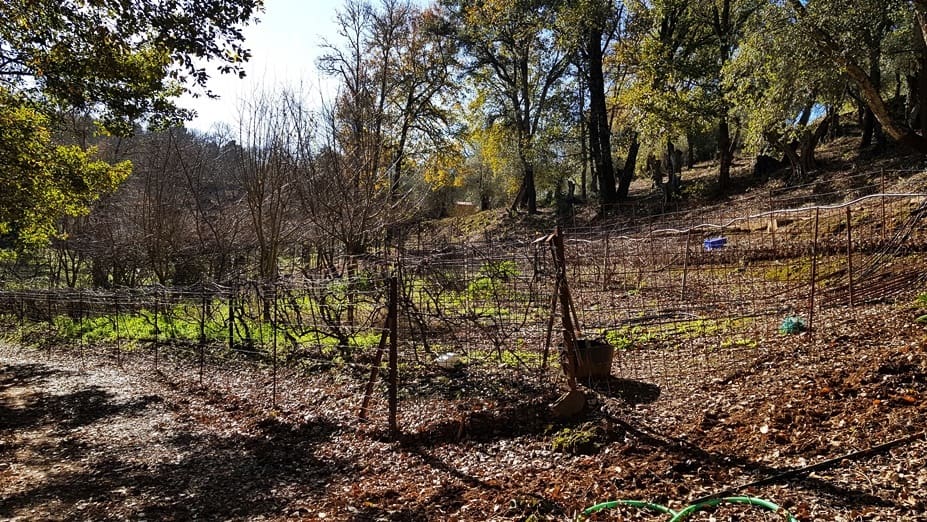 4 soveværelse Finca/Landehus til salg i Galaroza med swimmingpool - € 675.000 (Ref: 8191472)