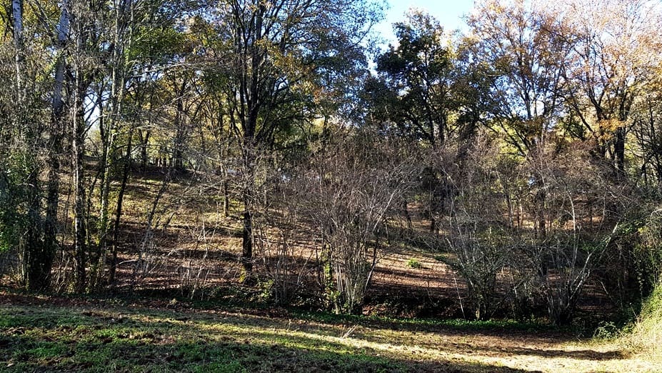 4 soveværelse Finca/Landehus til salg i Galaroza med swimmingpool - € 675.000 (Ref: 8191472)