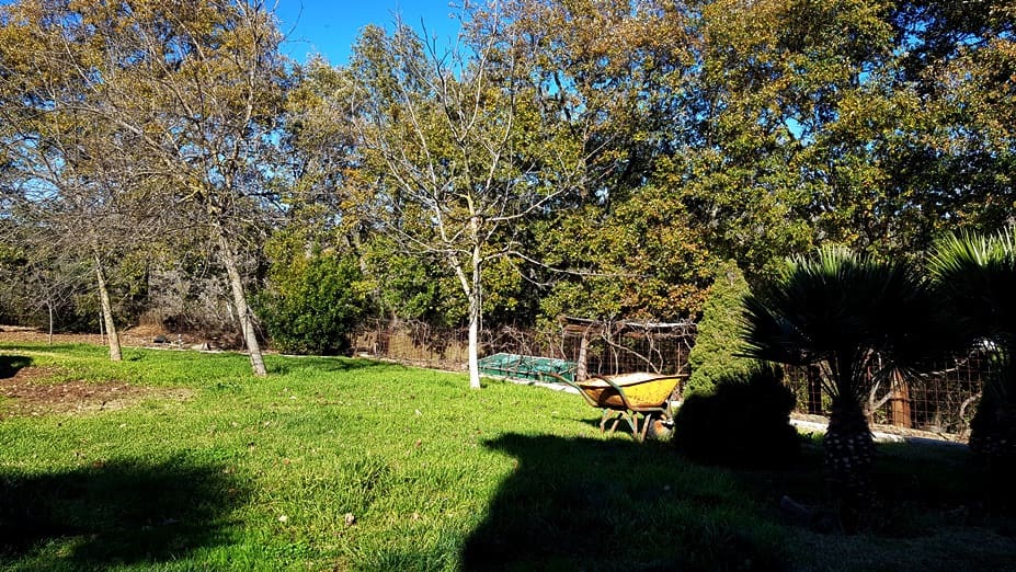 4 soveværelse Finca/Landehus til salg i Galaroza med swimmingpool - € 675.000 (Ref: 8191472)