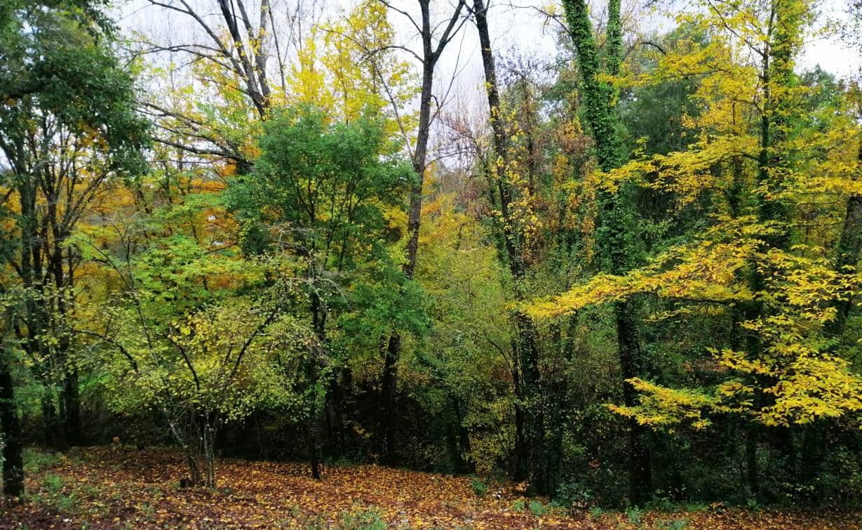 4 soveværelse Finca/Landehus til salg i Galaroza med swimmingpool - € 675.000 (Ref: 8191472)