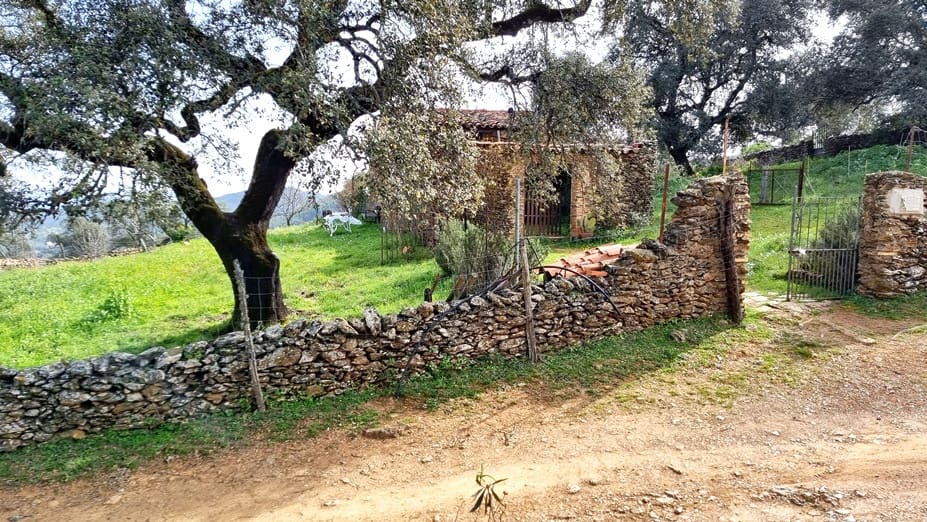 6 bedroom Finca/Country House for sale in Aracena - € 480,000 (Ref: 8191617)