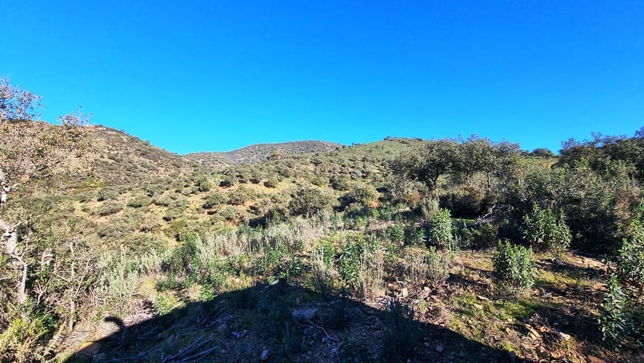 2 chambre Finca/Maison de Campagne à vendre à Zufre - 1 250 000 € (Ref: 8194283)