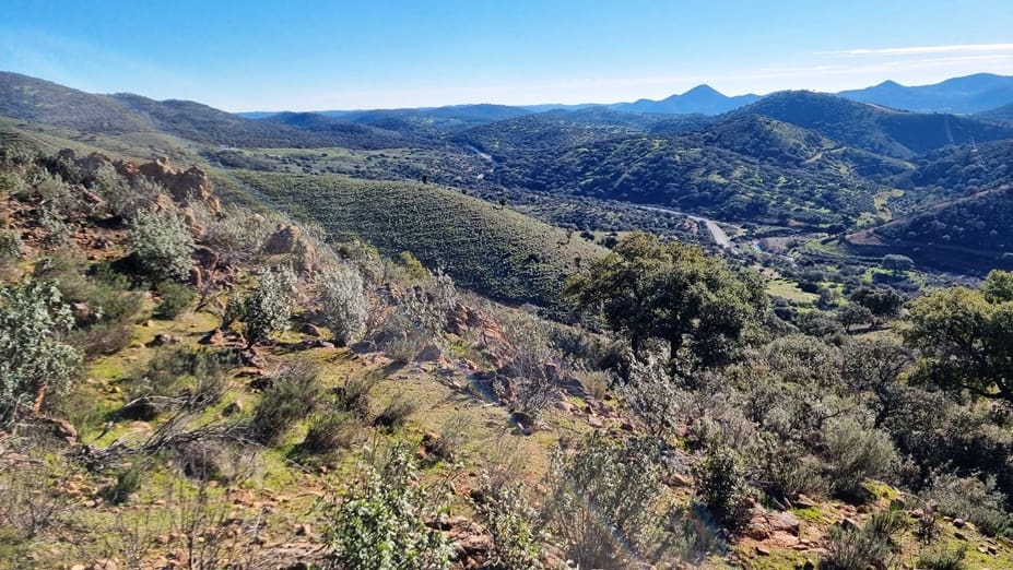 2 chambre Finca/Maison de Campagne à vendre à Zufre - 1 250 000 € (Ref: 8194283)