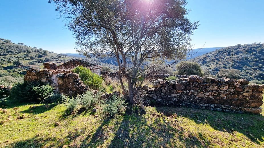 2 chambre Finca/Maison de Campagne à vendre à Zufre - 1 250 000 € (Ref: 8194283)
