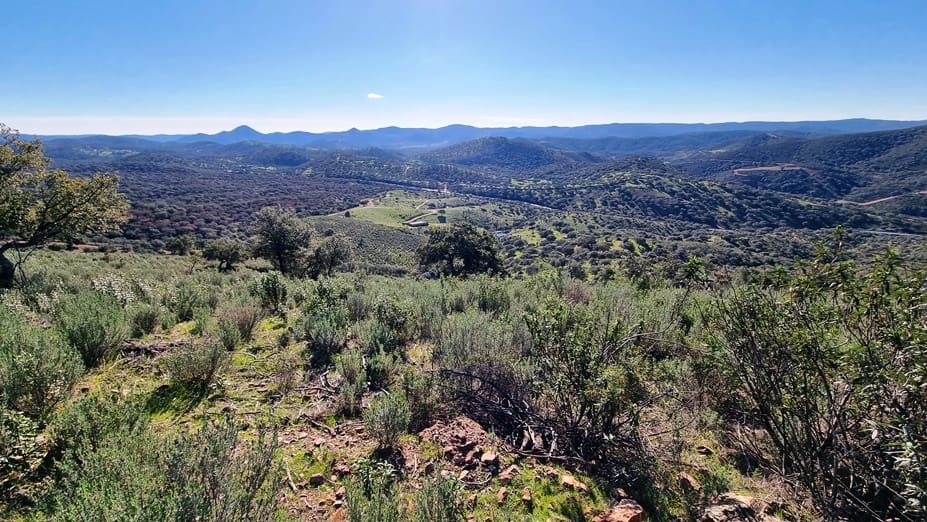 2 chambre Finca/Maison de Campagne à vendre à Zufre - 1 250 000 € (Ref: 8194283)