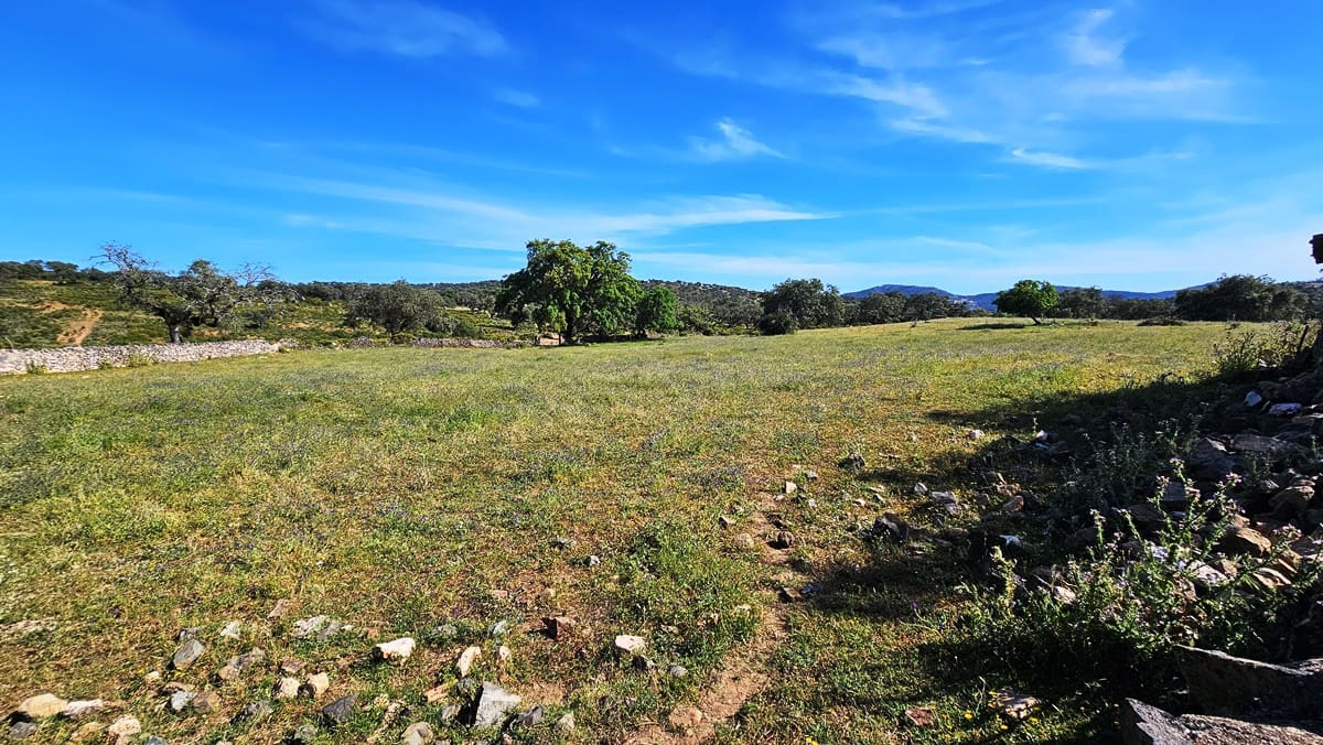 5 soveværelse Finca/Landehus til salg i Zufre - € 2.300.000 (Ref: 8386153)